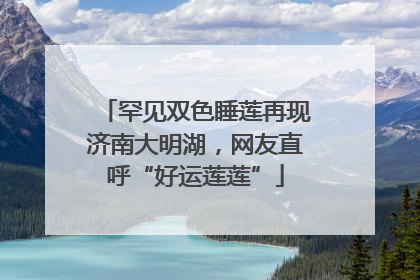 罕见双色睡莲再现济南大明湖，网友直呼“好运莲莲”