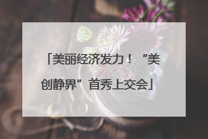 美丽经济发力！“美创静界”首秀上交会