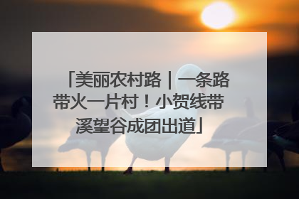 美丽农村路｜一条路带火一片村！小贺线带溪望谷成团出道