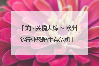 美国关税大棒下 欧洲多行业恐陷生存危机