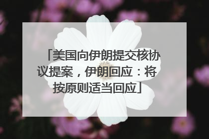 美国向伊朗提交核协议提案，伊朗回应：将按原则适当回应