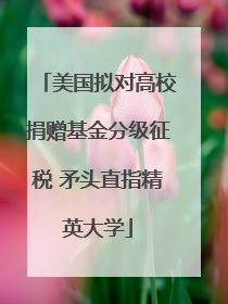 美国拟对高校捐赠基金分级征税 矛头直指精英大学