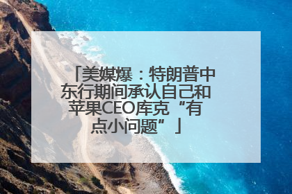 美媒爆：特朗普中东行期间承认自己和苹果CEO库克“有点小问题”