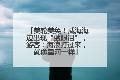 美轮美奂！威海海边出现“蓝眼泪”，游客：海浪打过来，就像星河一样