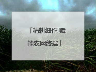 精耕细作 赋能农网终端