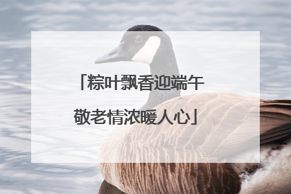 粽叶飘香迎端午 敬老情浓暖人心