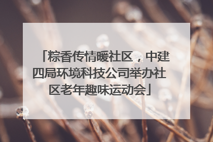 粽香传情暖社区，中建四局环境科技公司举办社区老年趣味运动会