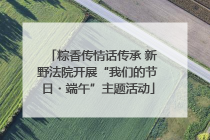 粽香传情话传承 新野法院开展“我们的节日・端午”主题活动