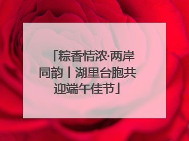 粽香情浓·两岸同韵丨湖里台胞共迎端午佳节