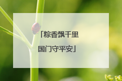 粽香飘千里 国门守平安