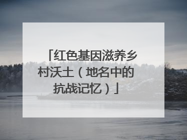 红色基因滋养乡村沃土（地名中的抗战记忆）