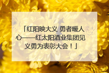 红阳映大义 勇者暖人心——红太阳酒业集团见义勇为表彰大会！