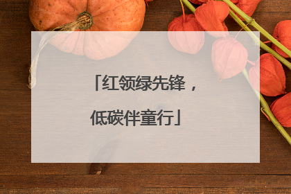 红领绿先锋，低碳伴童行