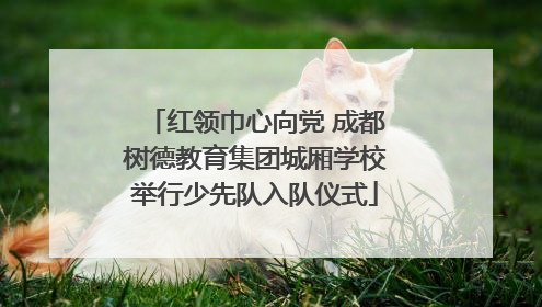 红领巾心向党 成都树德教育集团城厢学校举行少先队入队仪式