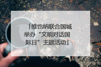 维也纳联合国城举办“文明对话国际日”主题活动