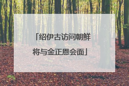 绍伊古访问朝鲜 将与金正恩会面
