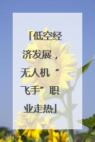 低空经济发展，无人机“飞手”职业走热