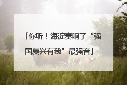 你听！海淀奏响了“强国复兴有我”最强音
