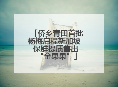 侨乡青田首批杨梅启程新加坡 保鲜提质售出“金果果”