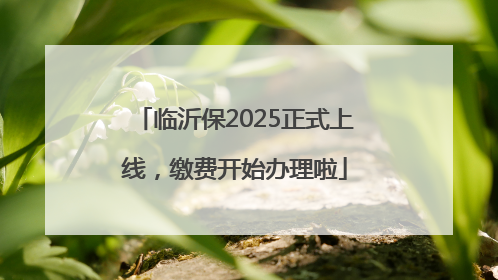 临沂保2025正式上线，缴费开始办理啦