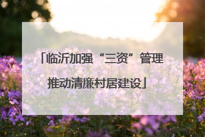 临沂加强“三资”管理 推动清廉村居建设