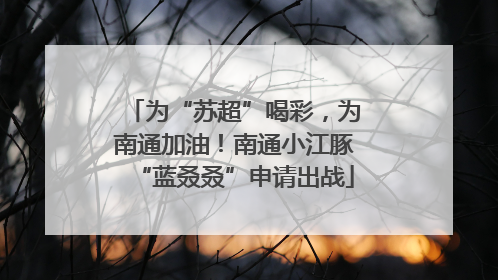 为“苏超”喝彩，为南通加油！南通小江豚“蓝叒叒”申请出战