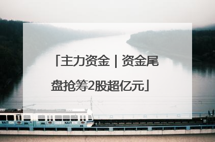 主力资金｜资金尾盘抢筹2股超亿元