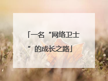 一名“网络卫士”的成长之路
