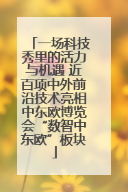 一场科技秀里的活力与机遇 近百项中外前沿技术亮相中东欧博览会“数智中东欧”板块