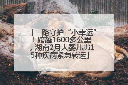 一路守护“小幸运”！跨越1600多公里，湖南2月大婴儿患15种疾病紧急转运