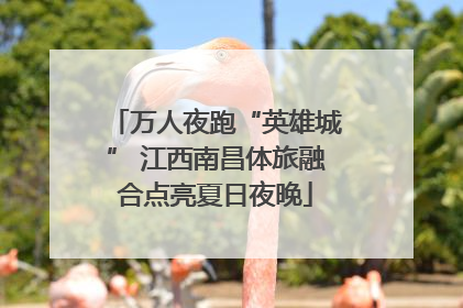万人夜跑“英雄城” 江西南昌体旅融合点亮夏日夜晚
