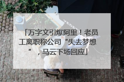 万字文引爆阿里！老员工离职称公司“失去梦想”，马云下场回应