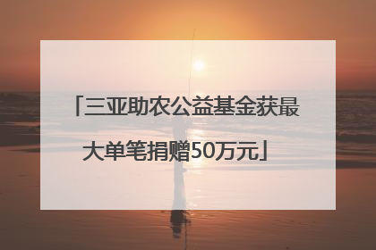 三亚助农公益基金获最大单笔捐赠50万元