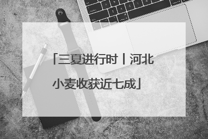 三夏进行时丨河北小麦收获近七成
