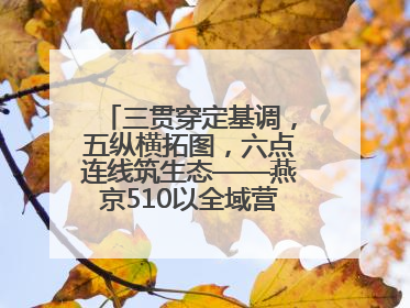 三贯穿定基调，五纵横拓图，六点连线筑生态——燕京510以全域营销战略登顶行业IP新高度
