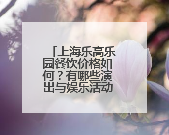 上海乐高乐园餐饮价格如何？有哪些演出与娱乐活动？记者探营