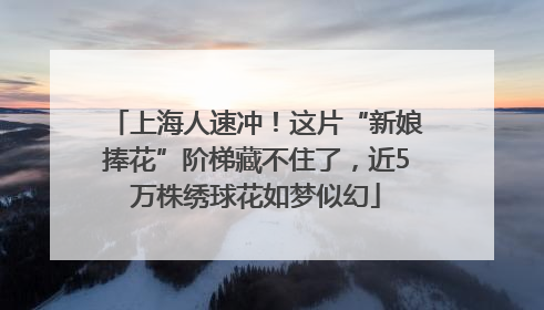 上海人速冲！这片“新娘捧花”阶梯藏不住了，近5万株绣球花如梦似幻