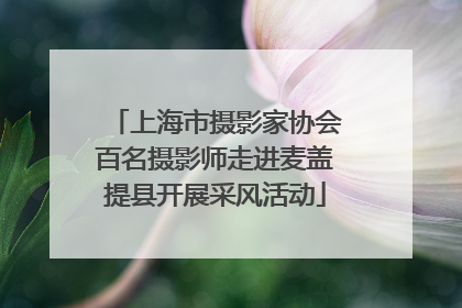 上海市摄影家协会百名摄影师走进麦盖提县开展采风活动
