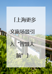 上海更多文旅场景引入“智慧大脑”