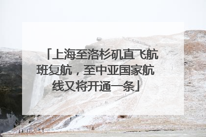 上海至洛杉矶直飞航班复航，至中亚国家航线又将开通一条
