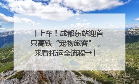 上车！成都东站迎首只高铁“宠物旅客”，来看托运全流程→