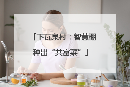 下瓦泉村：智慧棚种出“共富菜”