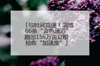 与时间竞速！淄博66条“金色通道”跑出156万亩夏粮抢收“加速度”