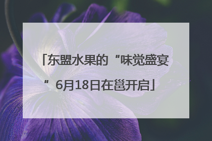 东盟水果的“味觉盛宴”6月18日在邕开启