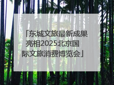东城文旅最新成果亮相2025北京国际文旅消费博览会