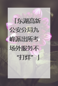 东湖高新公安分局九峰派出所考场外服务不“打烊”