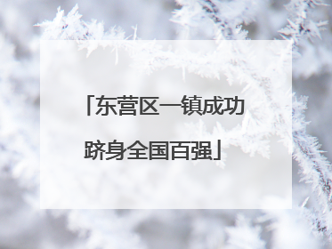 东营区一镇成功跻身全国百强