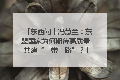 东西问丨冯慧兰：东盟国家为何期待高质量共建“一带一路”？