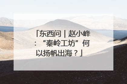 东西问｜赵小峰：“秦岭工坊”何以扬帆出海？