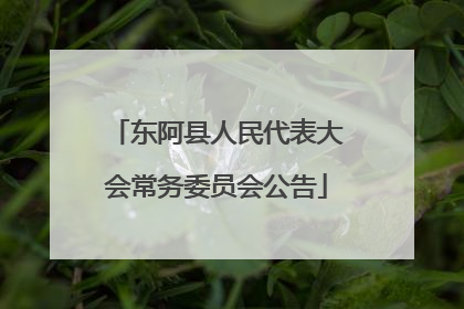 东阿县人民代表大会常务委员会公告